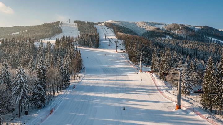 Groomed ski slopes and pine forest at Bukovel in the Ukrainian Carpathians